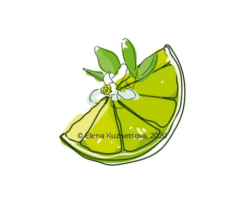 img4056955.png