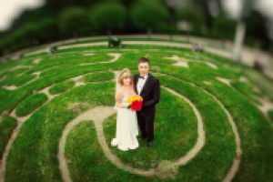 Работа 2625052