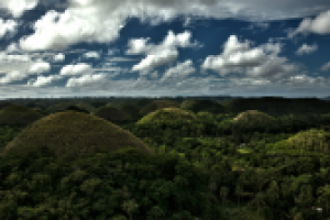 Работа 1470070