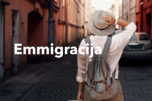 Разработка лендинга для Emmigracija