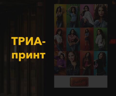 img3904538.png