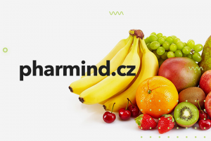 Разработка сайта для производителей фруктовых баточников