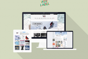 SMO продвижение для эктремального интернет-магазина