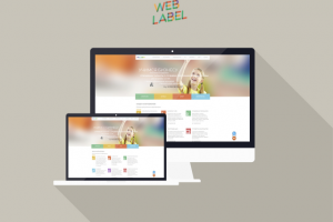 Лендинг пейдж для Бизнес-школы