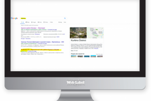 SEO продвижение сайта района Куркино (ТОП ГУГЛА)