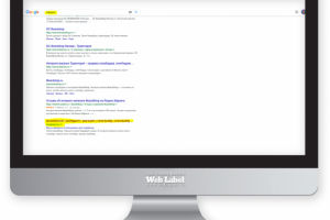 SEO продвижение бордшопа