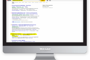 SEO для агентства суррогатного материнства