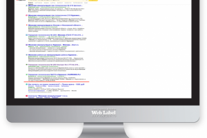 SEO ТОП в Яндекс для KURKINO.RU