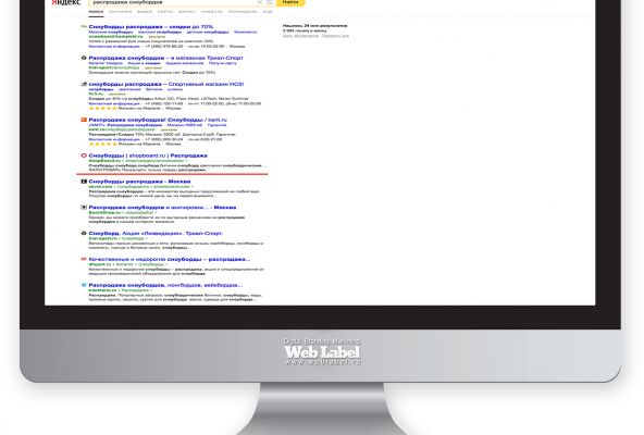 img3295206.png