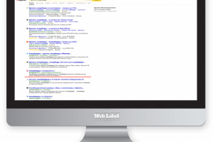 SEO ТОП в Яндекс для спортивного интернет-магазина