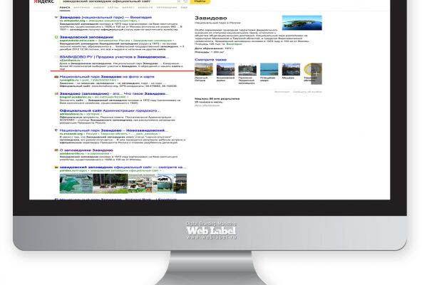 img3295199.png