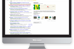 ТОП в Яндекс для KURKINO.RU