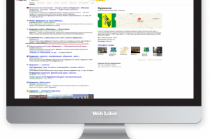 ТОП в Яндекс для KURKINO.RU