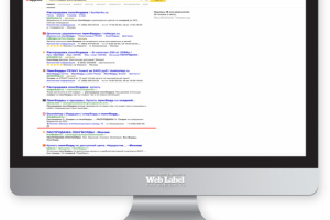 ТОП в Яндекс для cпортивного магазина