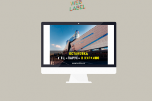 Веб-контент для района Куркино