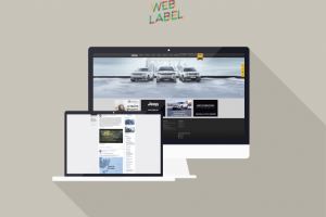 Вирусный маркетинг в соцсетях для автомобильной компании