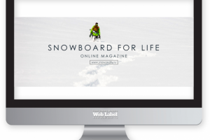 Оформление социальной сети для "Snowandfly"