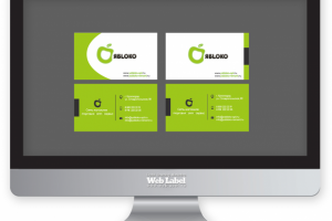 Варианты визиток для сети магазинов электроники