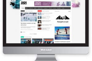 Аудит сайта www.snow-fly.ru