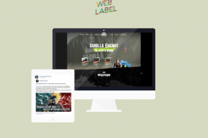 Рекламные кампании для Горилла Энерджи