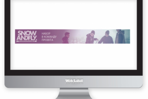 Баннер для сайта snow-fly.ru