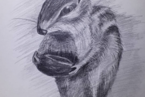 простой карандаш