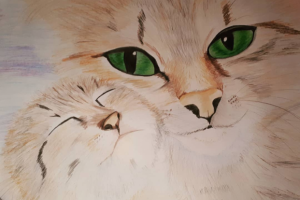 цветные карандаши