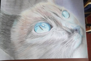 Цветные арандаши