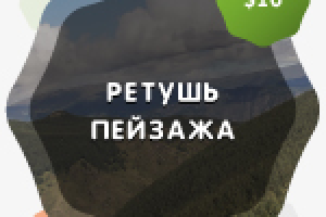 Работа 3059011