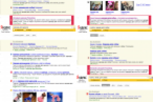 princedog.ru // Магазин одежды для собак