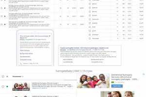 surrogatebaby.com // Google Adwords // Англоязычный