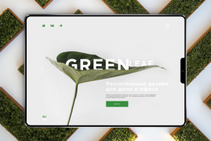 Дизайн landing page