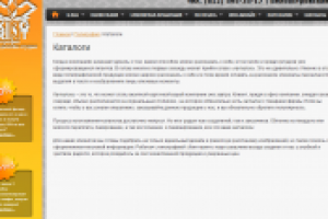 Раздел "каталоги"