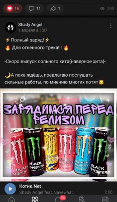 img4284300.png