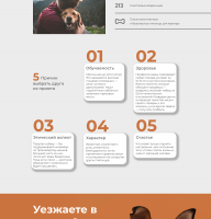 Бароша
