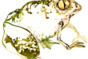 Работа 3245490