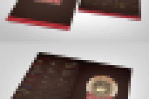 Работа 1720260