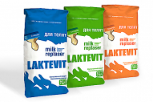 Работа 1720172