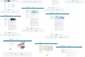 Дизайн Сайта Hors Tehnology