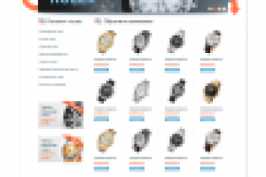 Дизайн Сайта Главной и всех внутрених страниц Timestock