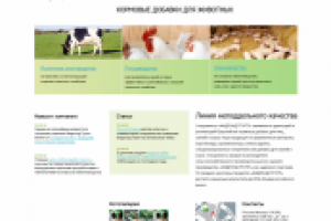 Дизайн сайта Feedland