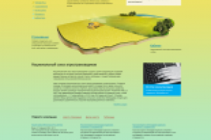 Дизайн Сайта Naai.ru   2