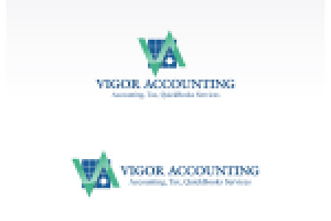 VIGOR_Accounting4