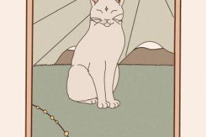 Кот на карте