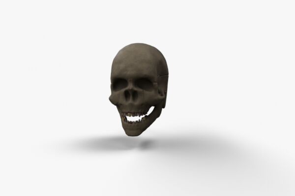img4295572.png