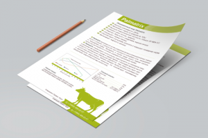 Листовка для «PALMATRIX»