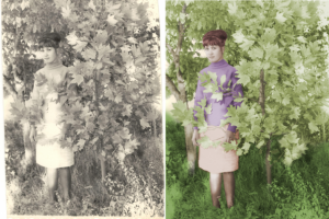 Вернуть цвет ЧБ фотографии