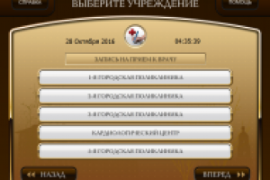 Интерфейс для Норильских терминалов