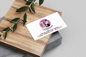 Teddy Boom визитка