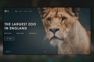 Зоопарк Lids Zoo